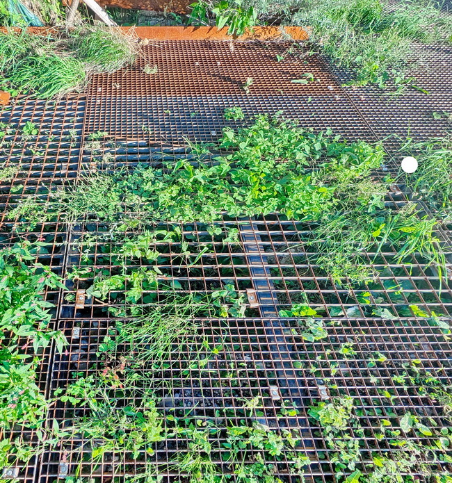 begehbare gruenflaechen gitterroste haus eber 02