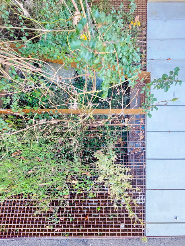 begehbare gruenflaechen gitterroste haus eber 10