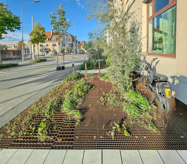 begehbare gruenflaechen gitterroste haus eber 21