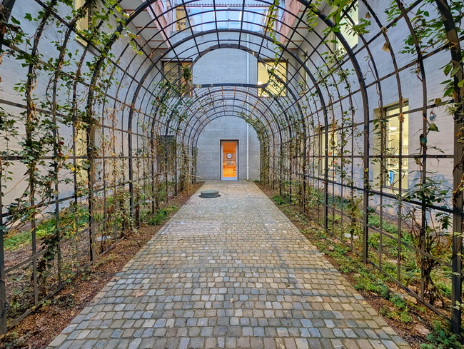 pergola rankgeruest innenhof kinderspital 01