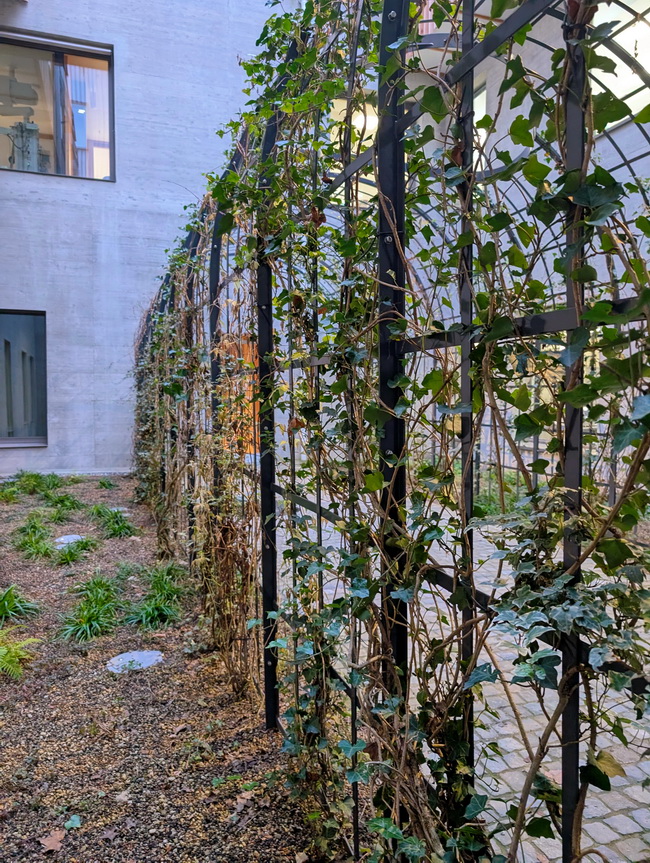 pergola rankgeruest innenhof kinderspital 02
