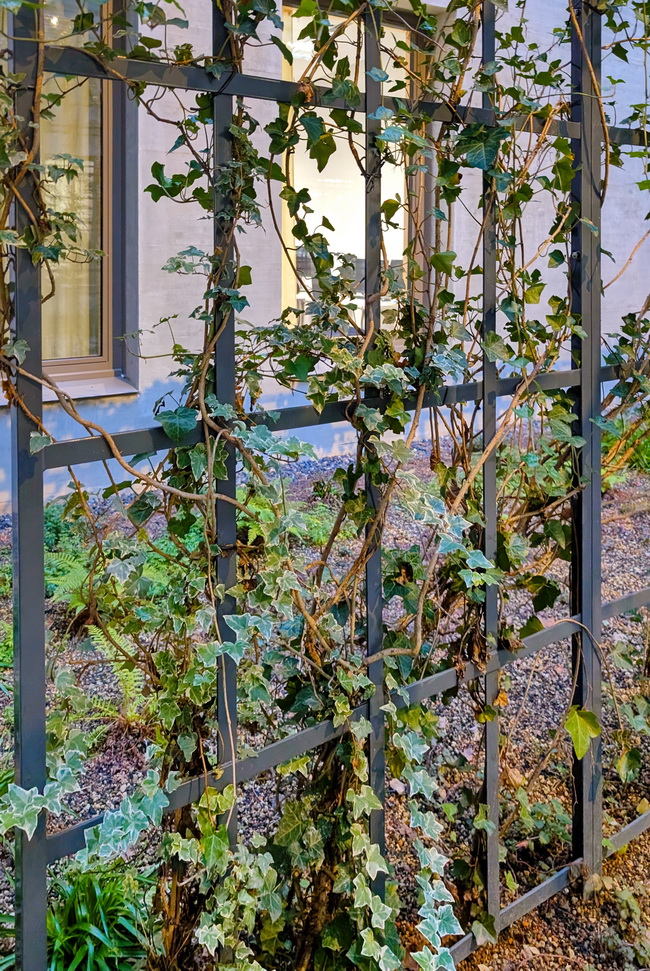 pergola rankgeruest innenhof kinderspital 05