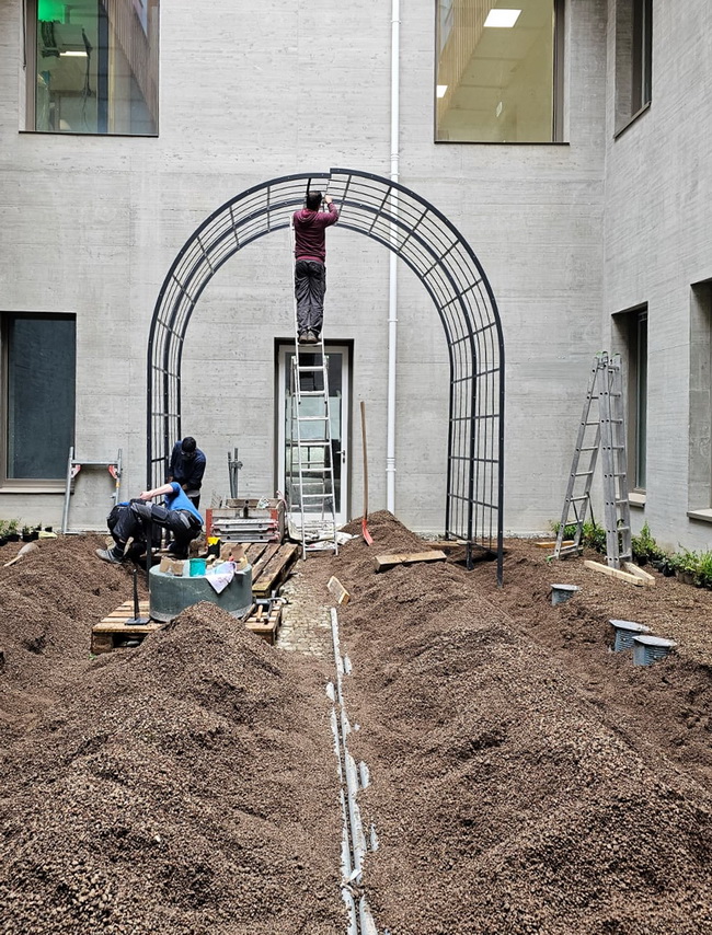 pergola rankgeruest innenhof kinderspital 14