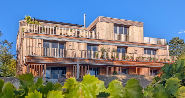 gelaender holz metall fuer mfh 01